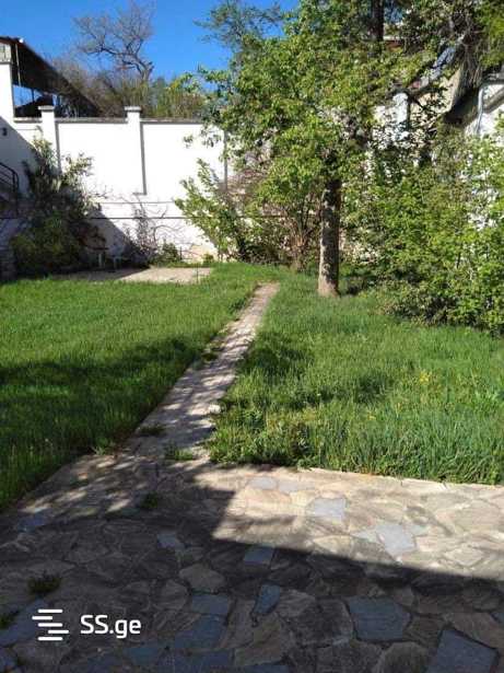 https://static.ss.ge/20251125/14_ef05ec7f-3f40-4dfb-8185-6d0397902b84_Thumb.jpg