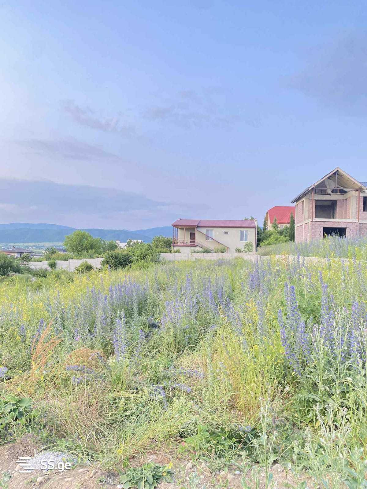 Land For Sale. Akhalsopeli view 10