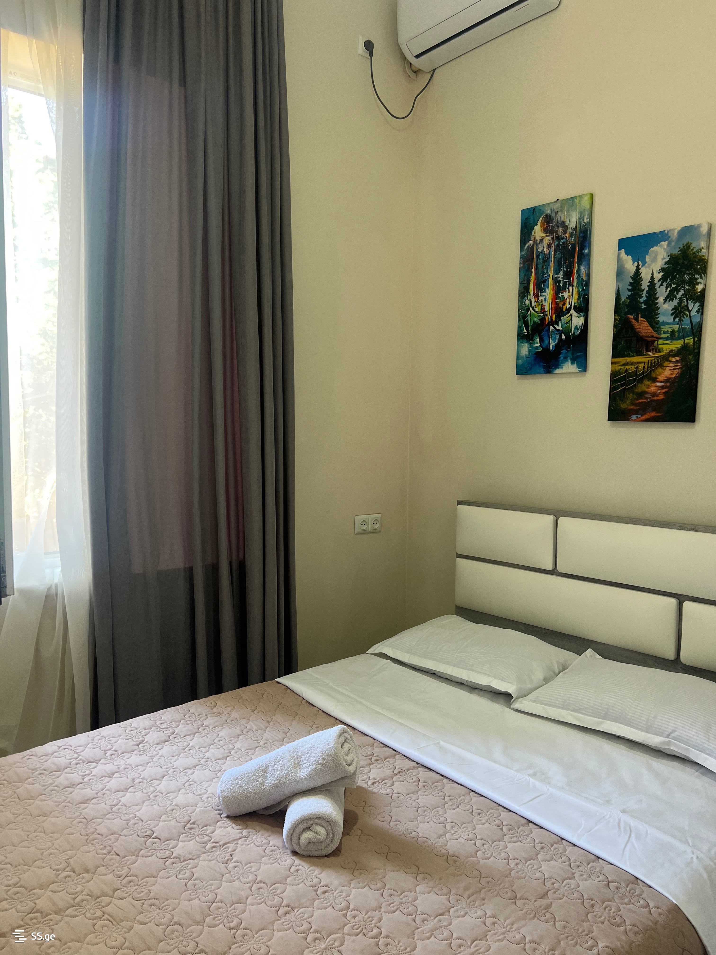 7 Room Private House Daily Rent. Kutaisi view 12