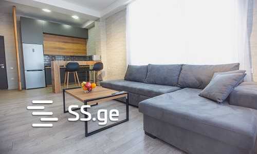 2 Room Flat Daily Rent. Bakuriani, 3 of 4