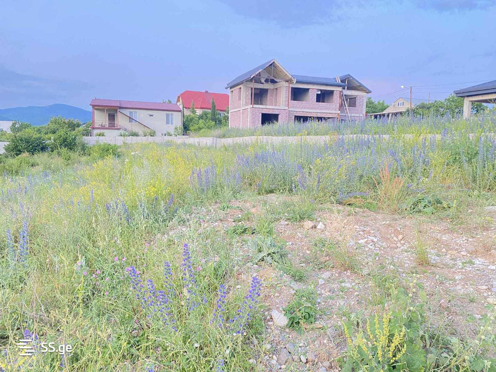 Land For Sale. Akhalsopeli view 8