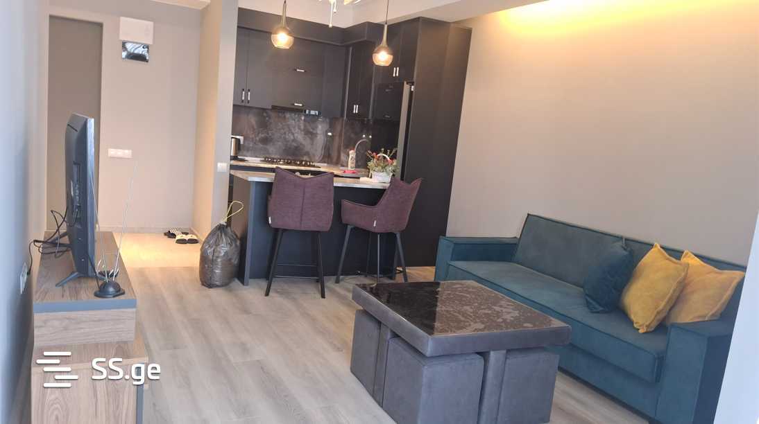 2 Room Flat Daily Rent. Samgori view 2