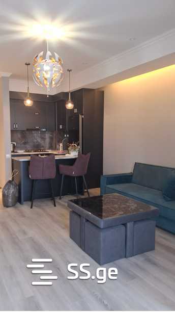 2 Room Flat Daily Rent. Samgori view 5