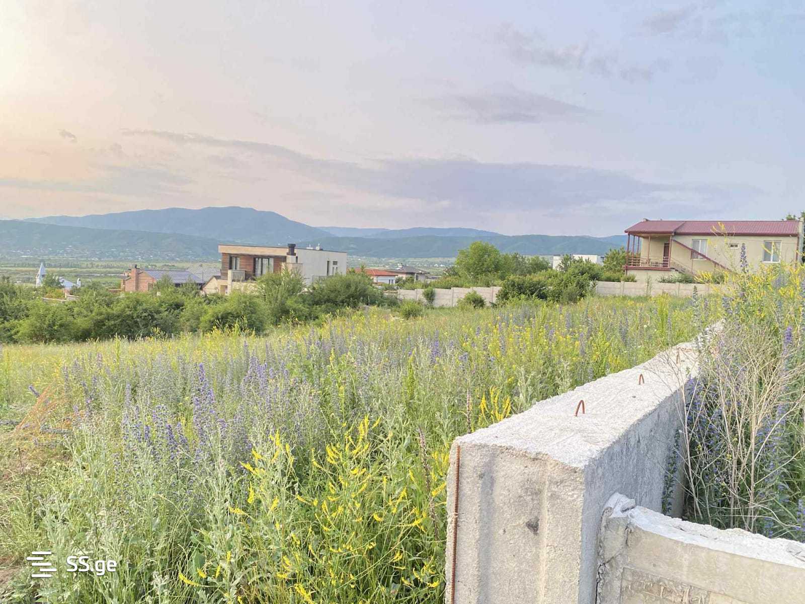 Land For Sale. Akhalsopeli view 9
