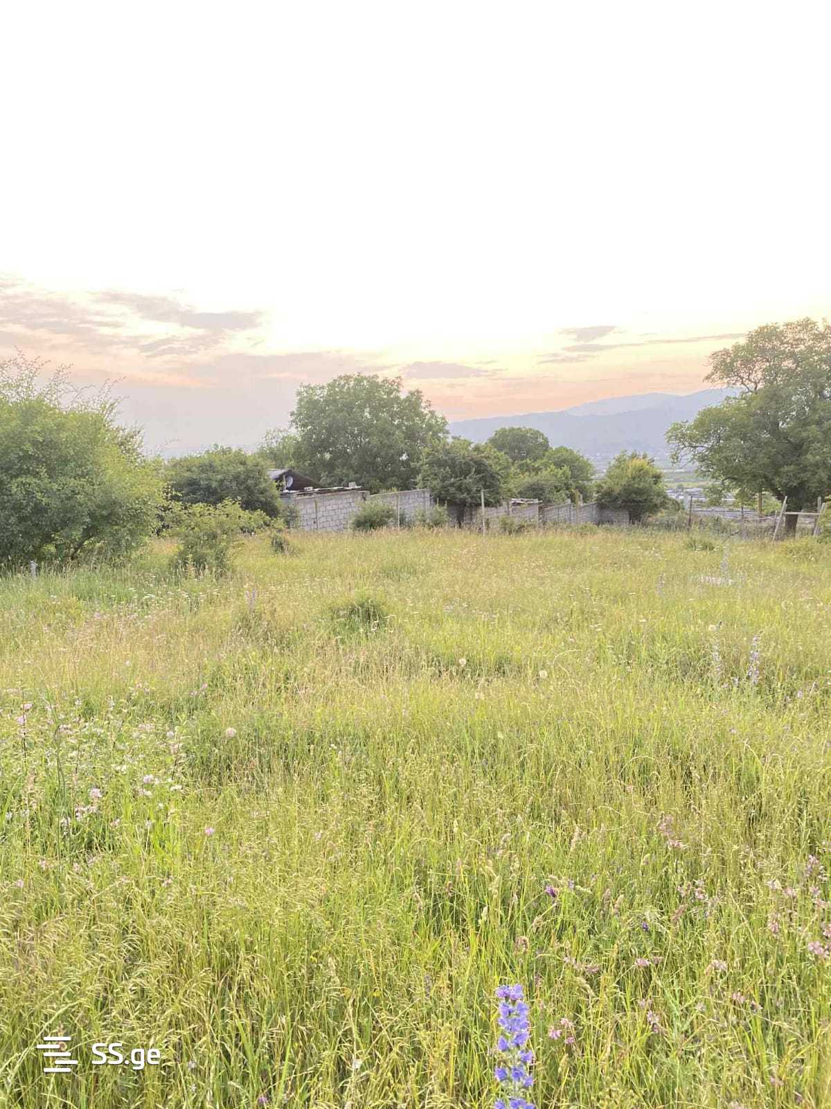 Land For Sale. Akhalsopeli view 2