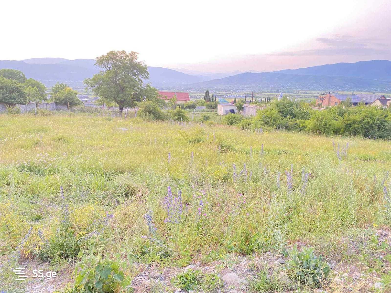 Land For Sale. Akhalsopeli view 4