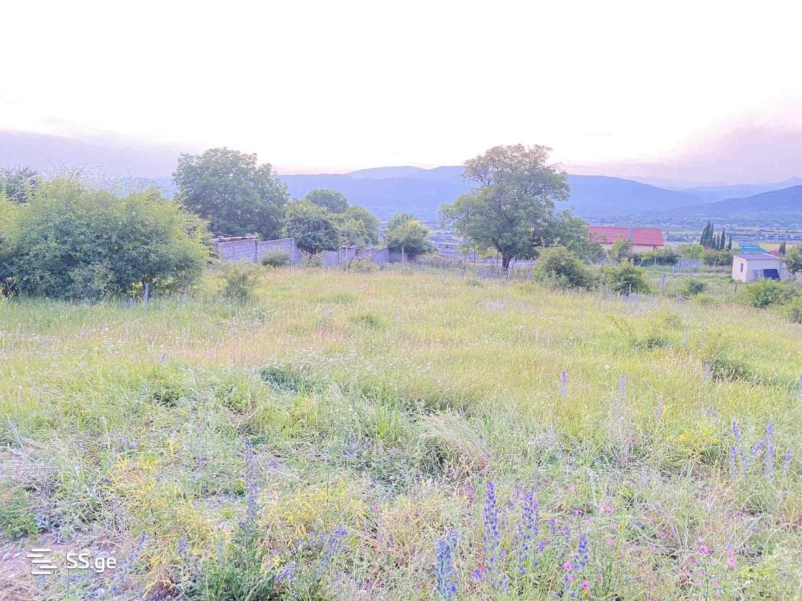 Land For Sale. Akhalsopeli view 3