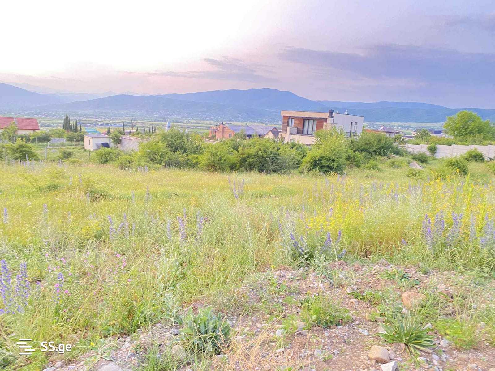Land For Sale. Akhalsopeli view 1