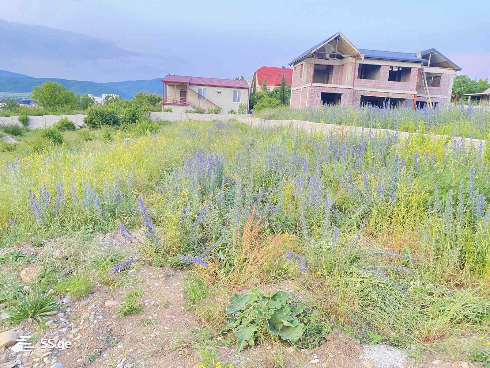 Land For Sale. Akhalsopeli view 12