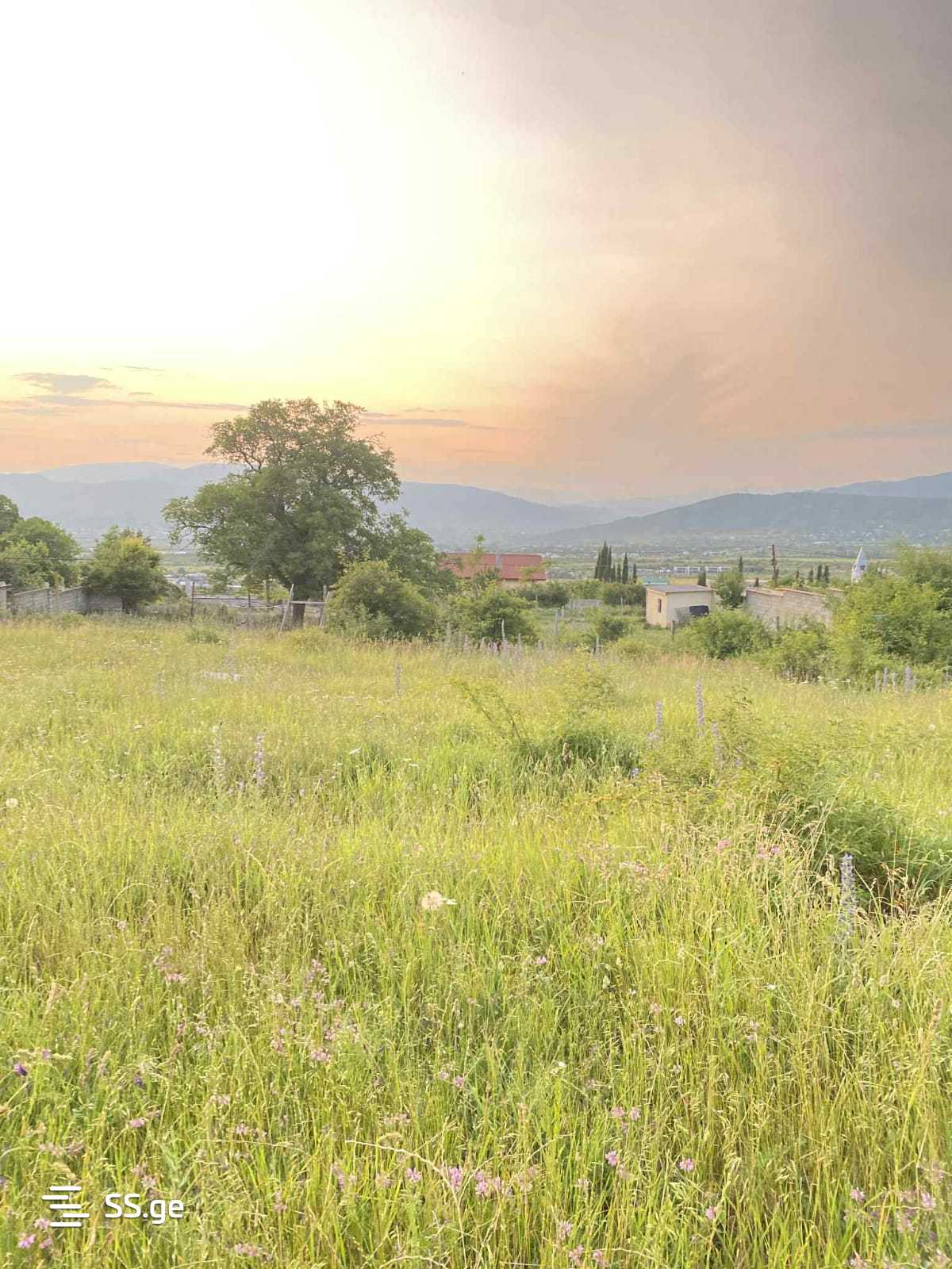 Land For Sale. Akhalsopeli view 6