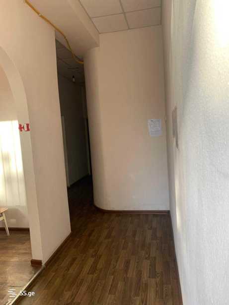 https://static.ss.ge/20251127/11_39c0899d-39e2-454d-8fb3-868e30167411_Thumb.jpg
