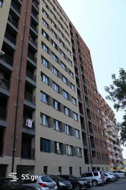https://static.ss.ge/20251127/16_d0846f5d-68d4-4cfd-9ed8-bfe16031cd62_Thumb.jpg