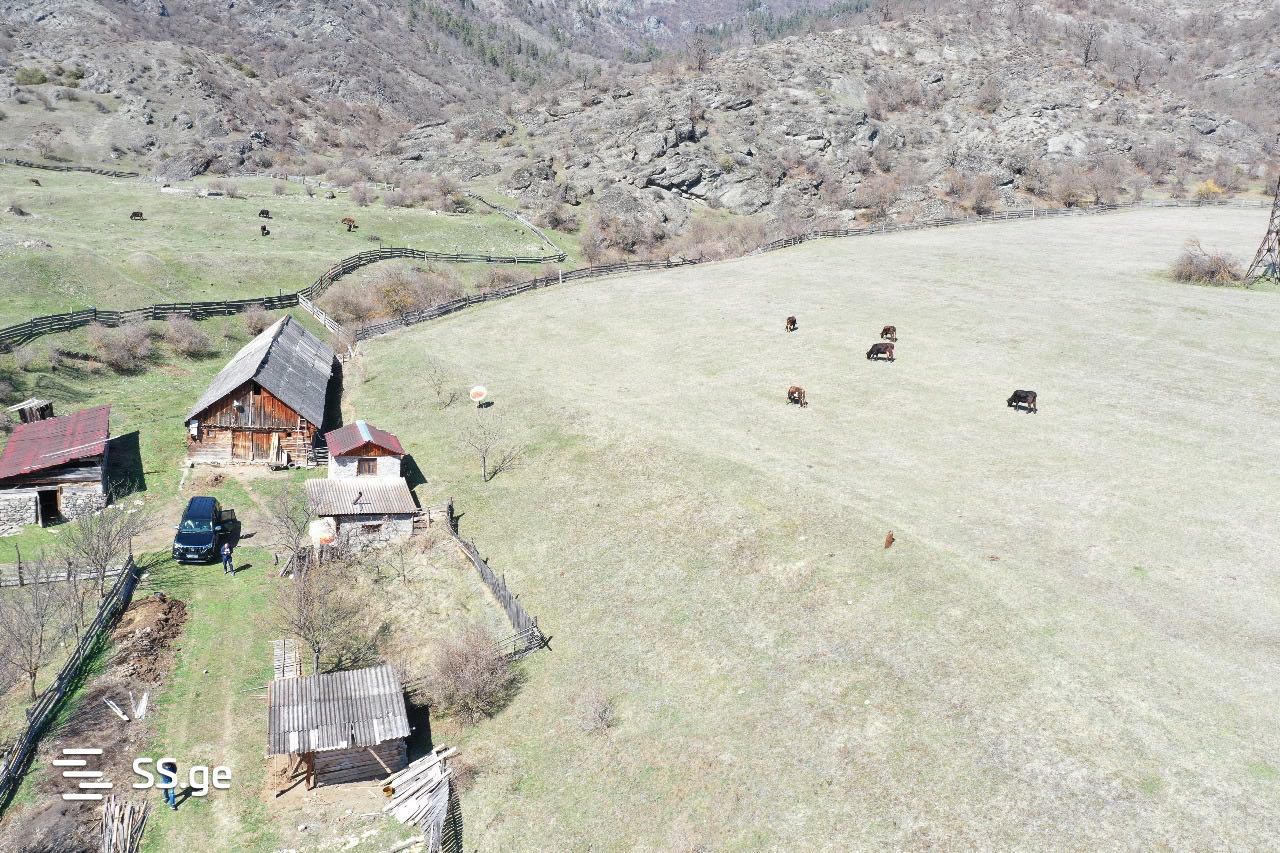 Land For Sale. Borjomi view 11