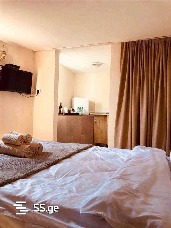 1 Room Flat Daily Rent. Vera view 3