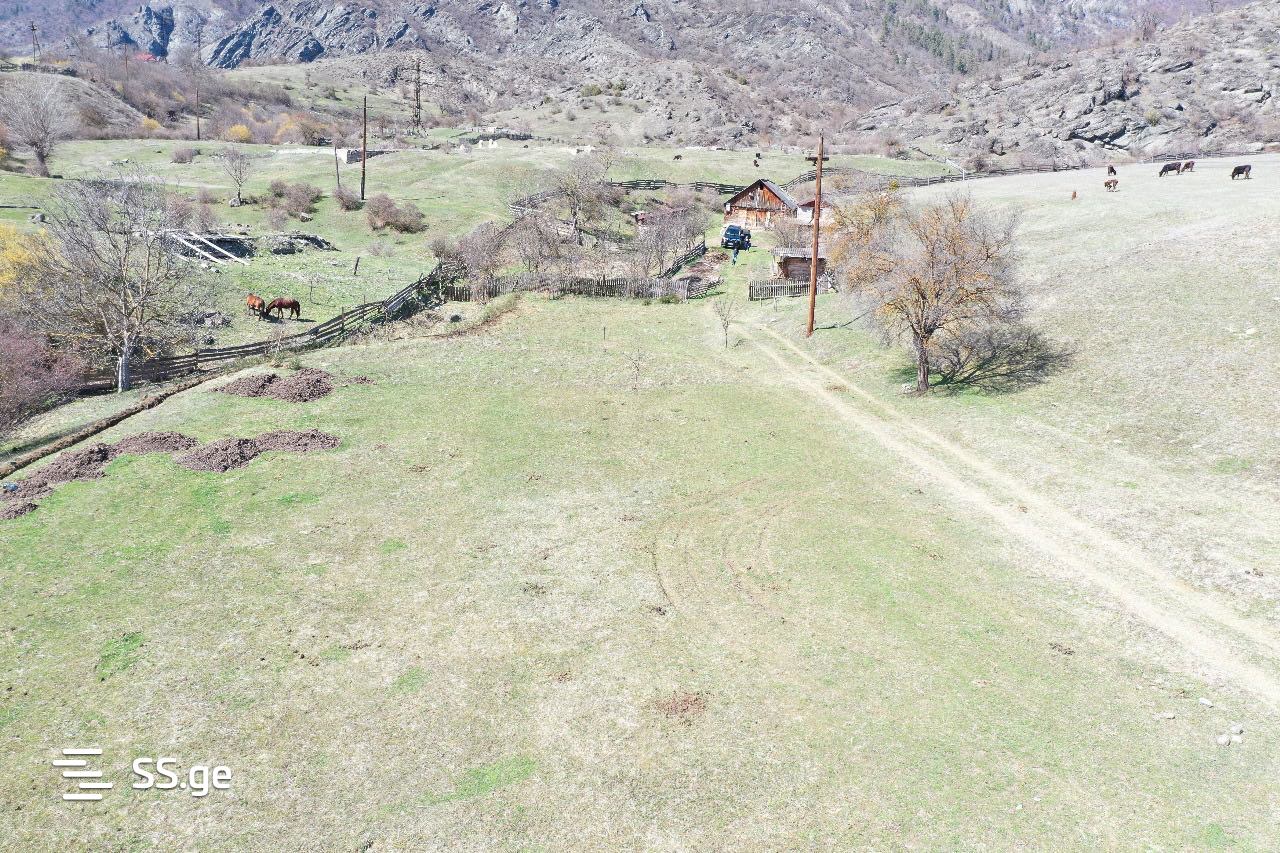 Land For Sale. Borjomi view 10