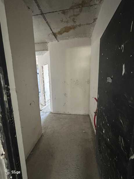 https://static.ss.ge/20251129/12_349473fa-b60f-4c4d-9476-c202cf0254e3_Thumb.jpg