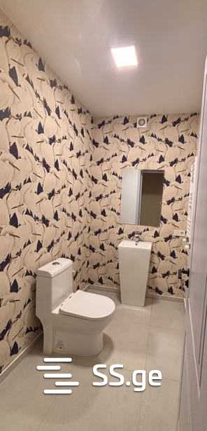 Commercial Space For Rent. Chugureti, 8 of 12