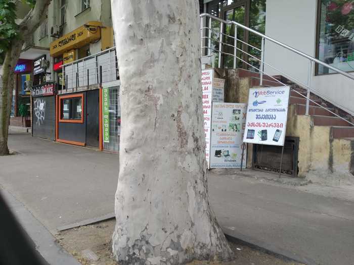 https://static.ss.ge/20251130/17_3754c1fc-d35b-47a1-9c58-d6d844f2998f_Thumb.jpg