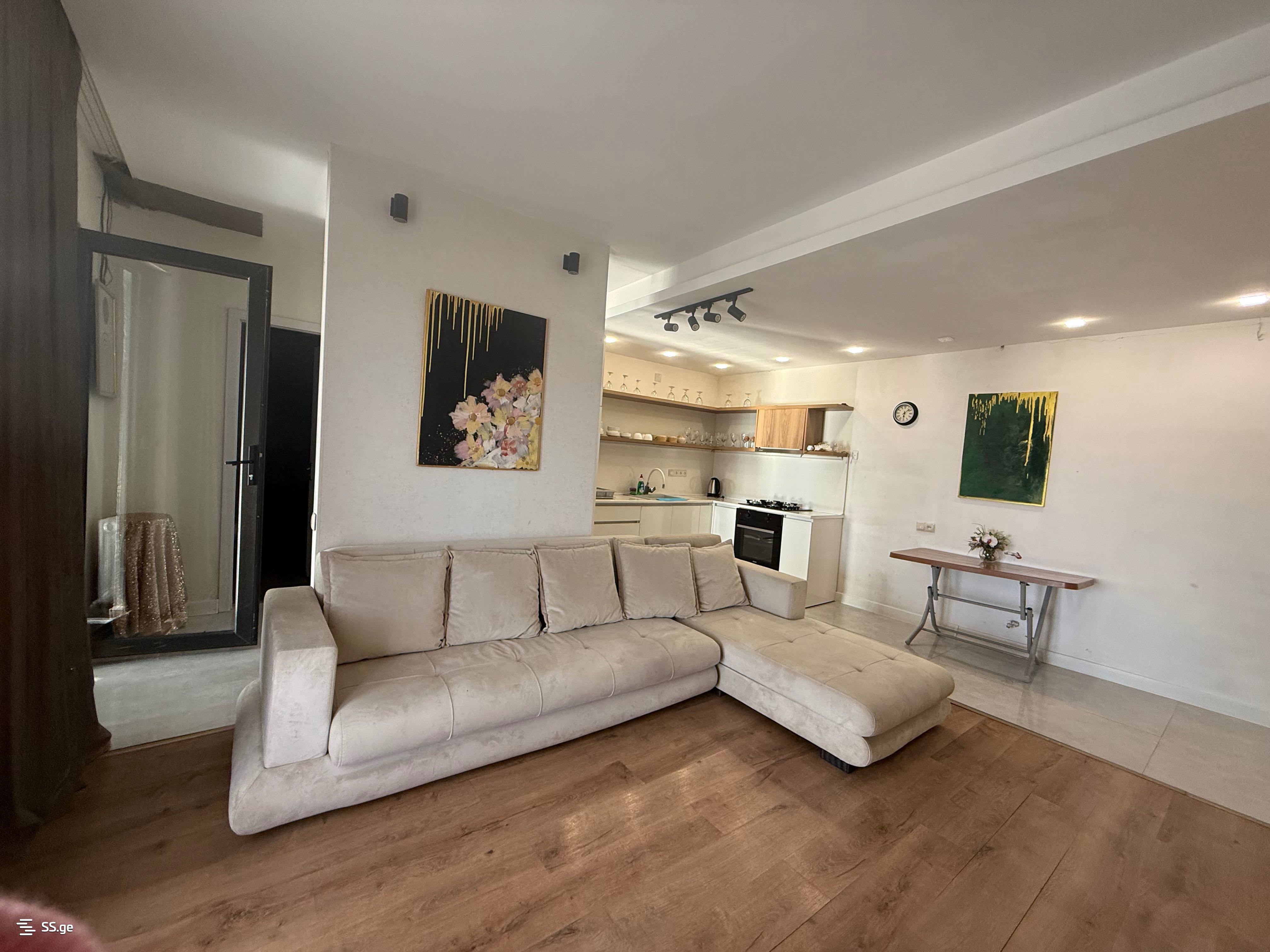 3 Room Private House Daily Rent. Rustavi view 5