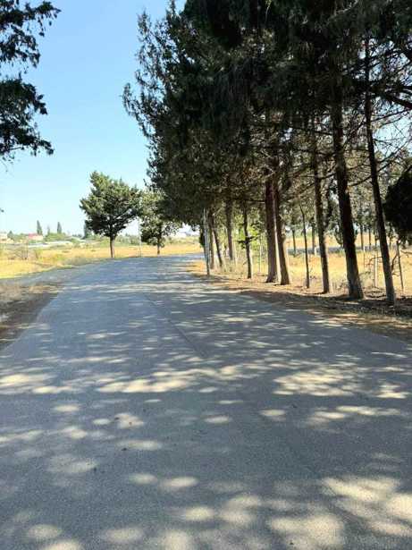 Land For Sale. Nasaguri