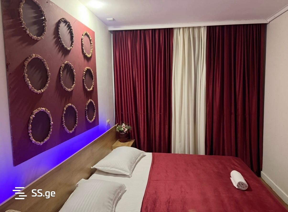 3 Room Private House Daily Rent. Rustavi view 7