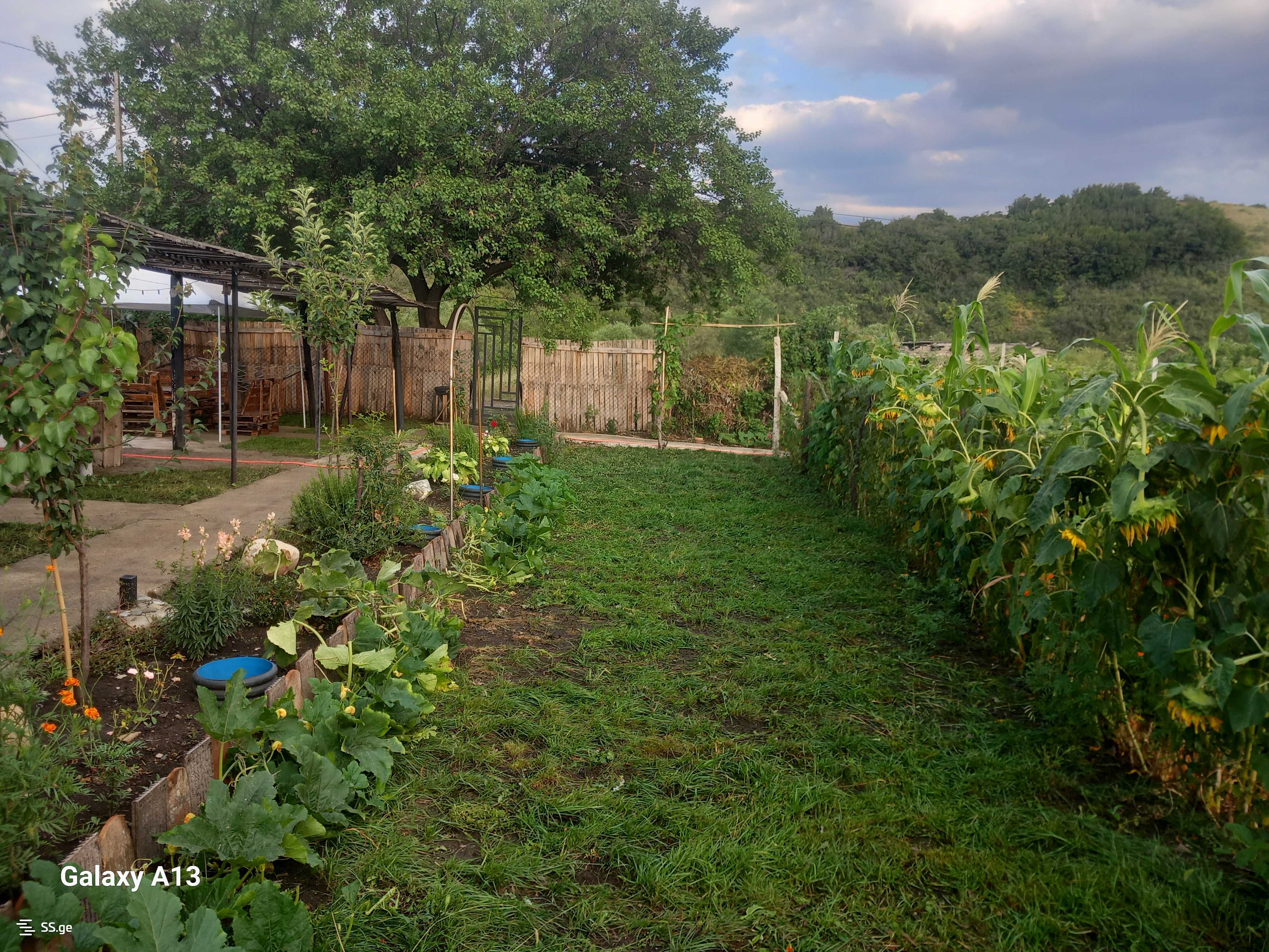1 Room Summer Cottage For Sale view 7