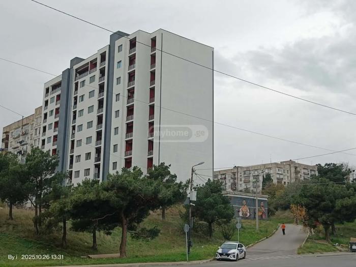 https://static.ss.ge/20251201/19_89a84d48-0729-463c-ab1c-b864ff195261_Thumb.jpg