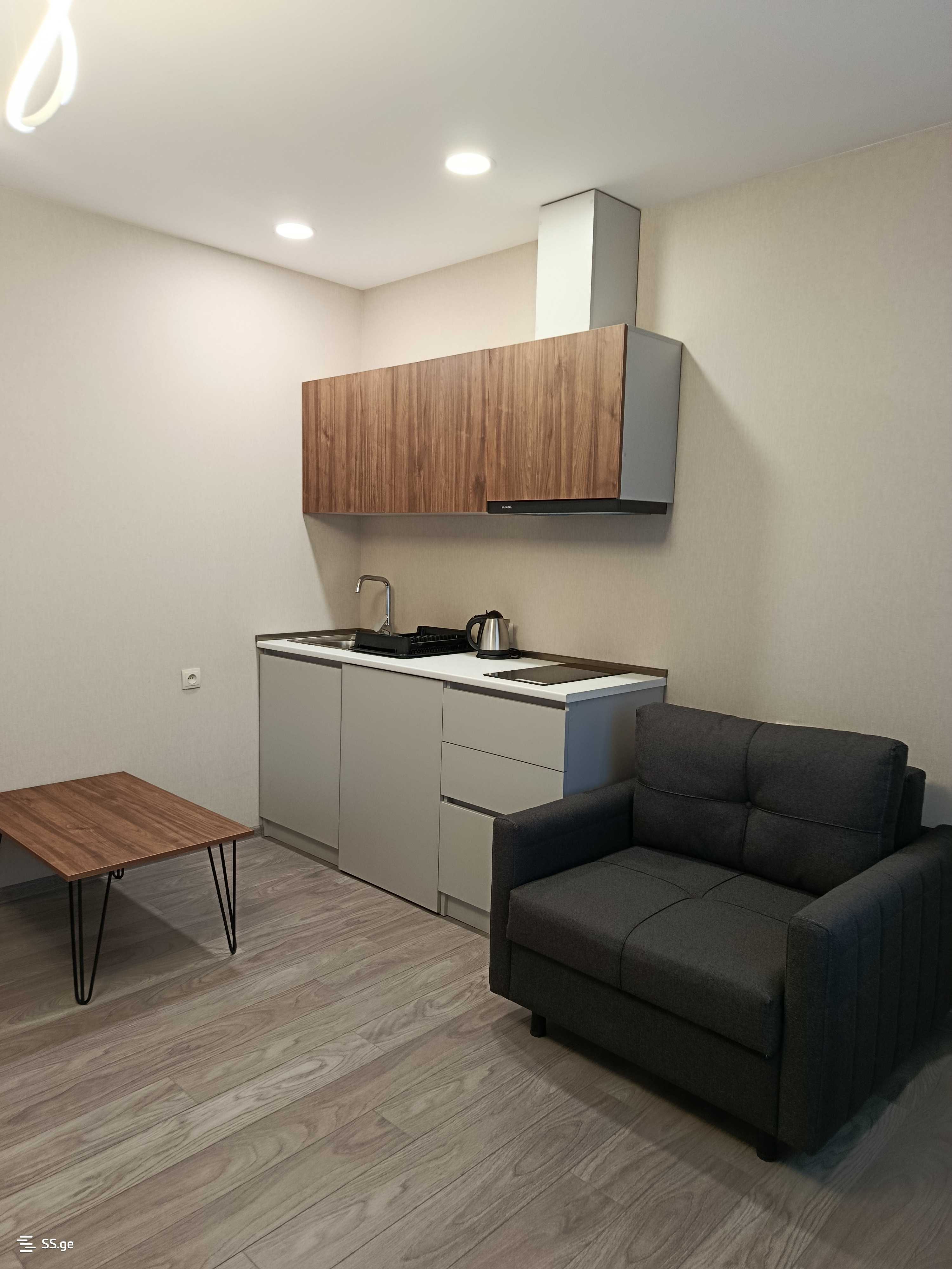 1 Room Flat Daily Rent. Bakuriani, 4 of 4