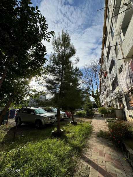 https://static.ss.ge/20251202/17_6a5c9c05-de60-4116-be35-01dac7af226a_Thumb.jpg