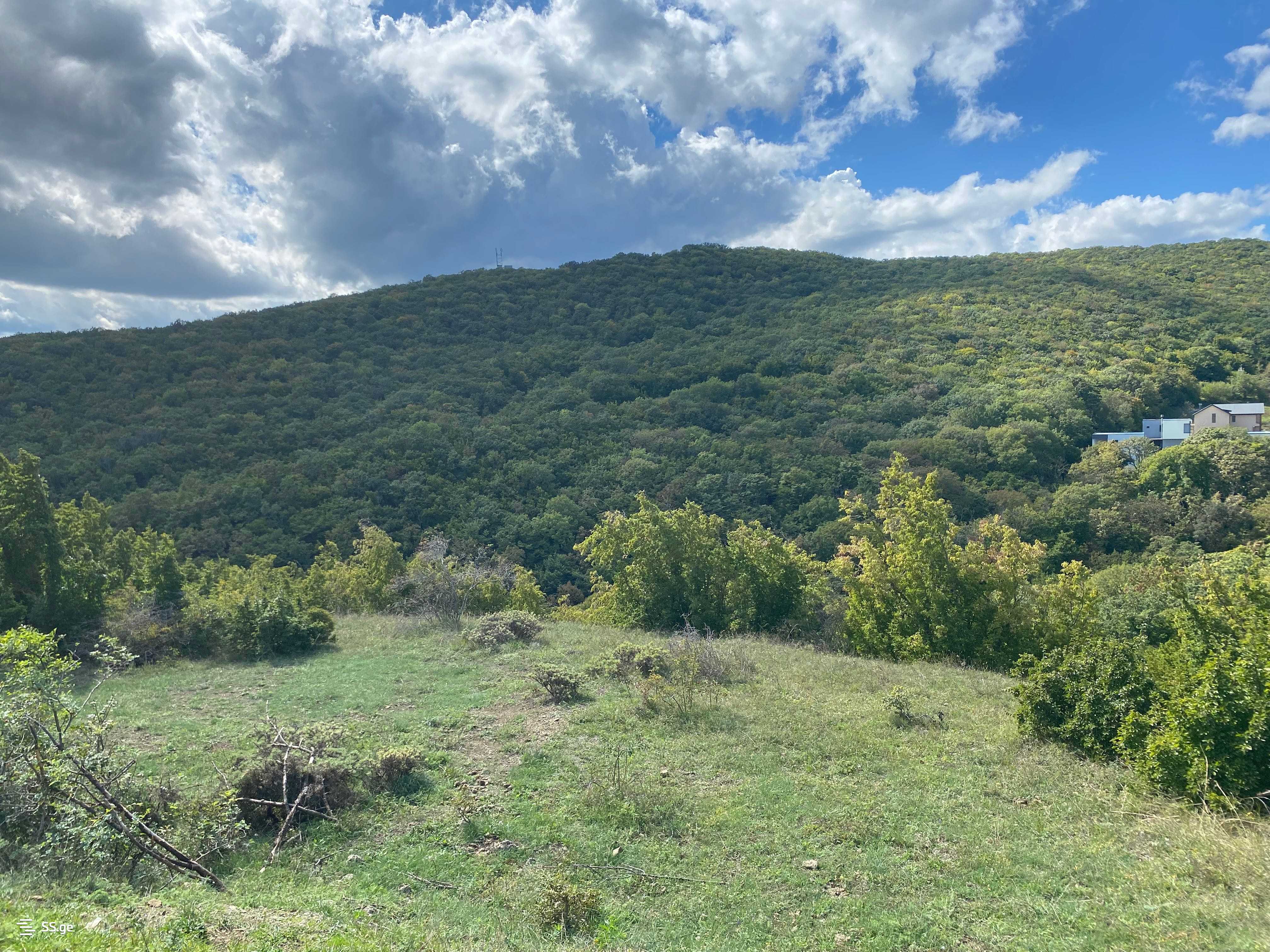 Land For Sale. Mukhattskaro view 2