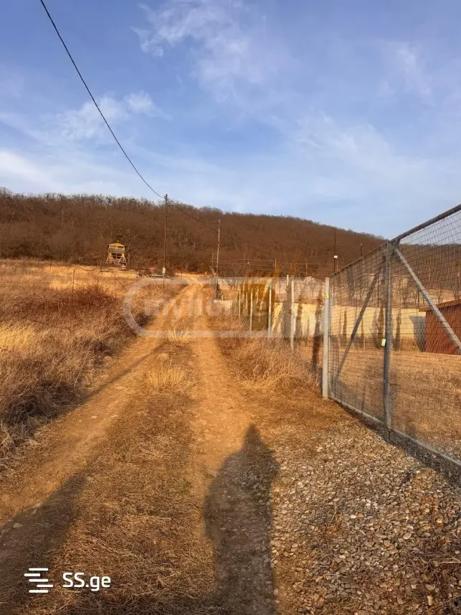 https://static.ss.ge/20251203/14_893d96f5-7f6b-4cef-a242-df641f6052da_Thumb.jpg