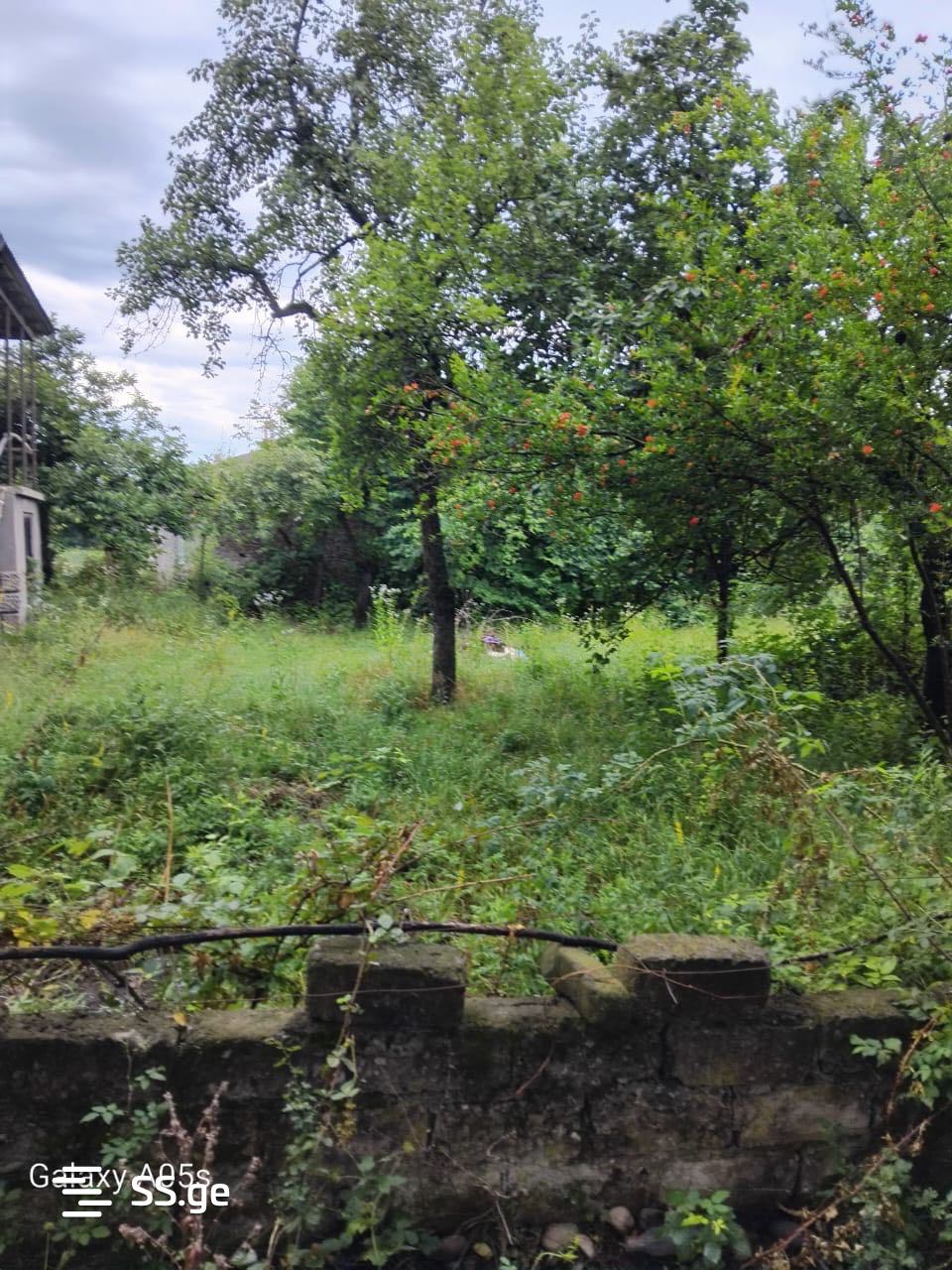 8 Room Private House For Sale view 13