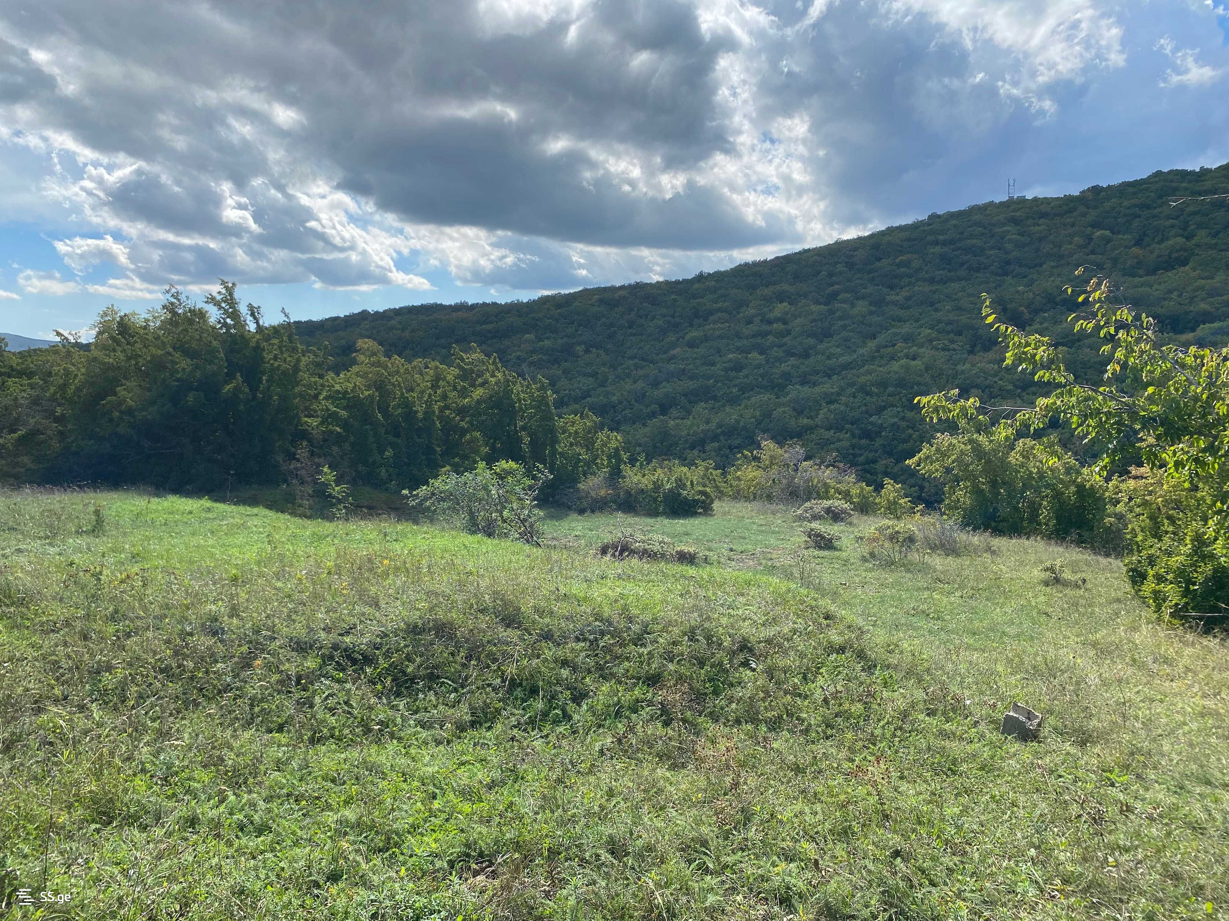 Land For Sale. Mukhattskaro view 20