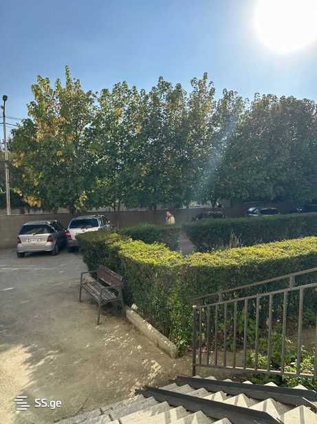 https://static.ss.ge/20251203/19_764b6033-e476-4f3c-b333-21c159a4c379_Thumb.jpg