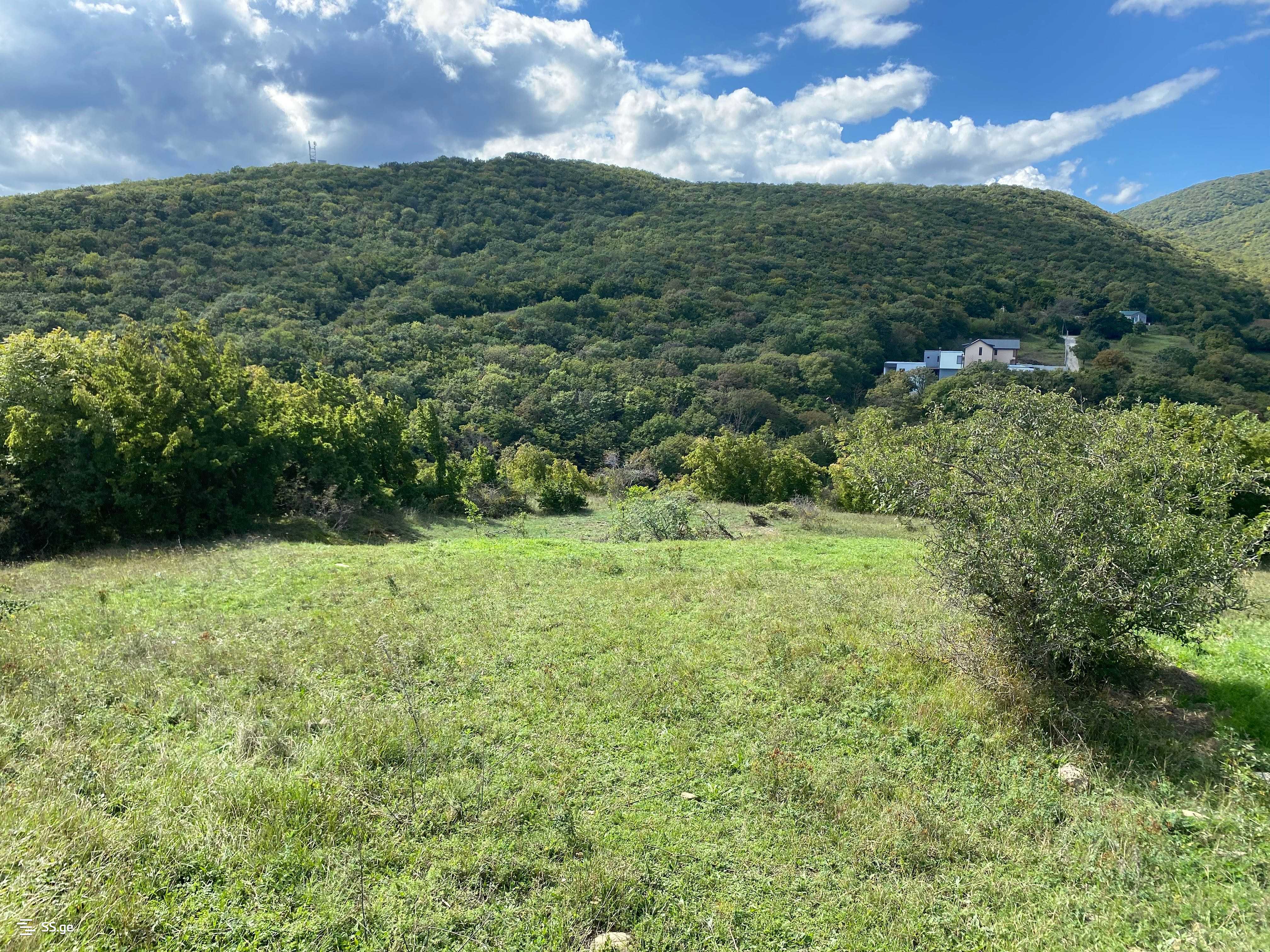 Land For Sale. Mukhattskaro view 1