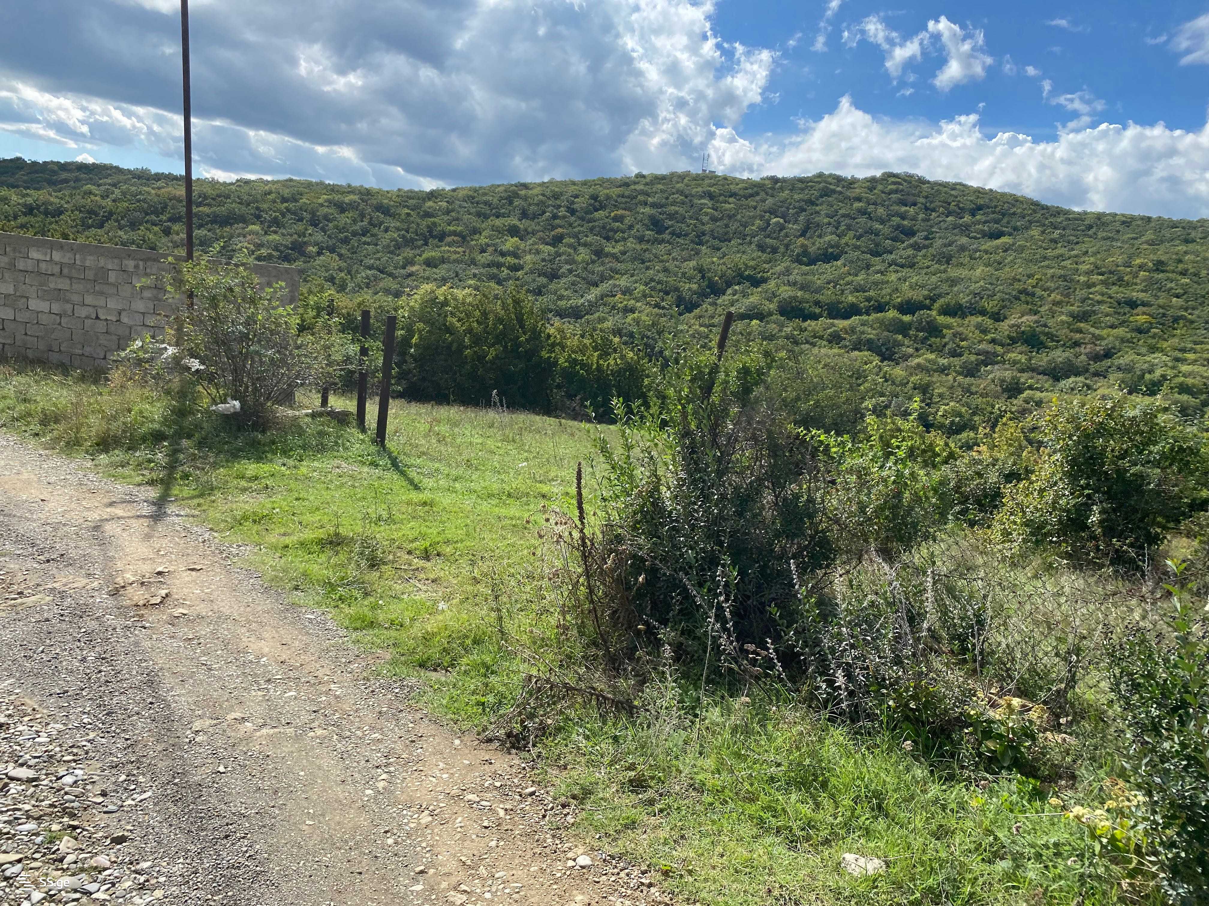 Land For Sale. Mukhattskaro view 4