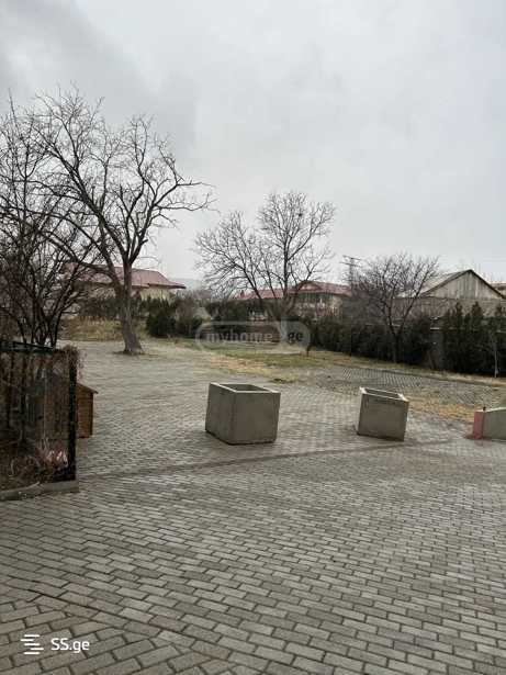 https://static.ss.ge/20251203/6_6a01789d-97f2-4518-99cf-b12417c5c9d3_Thumb.jpg