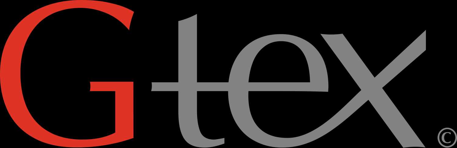 ჯითექსი