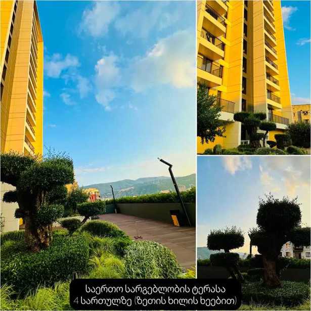 https://static.ss.ge/20251203/8_163c084b-ead4-42ad-851a-80e2e5b70235_Thumb.jpg