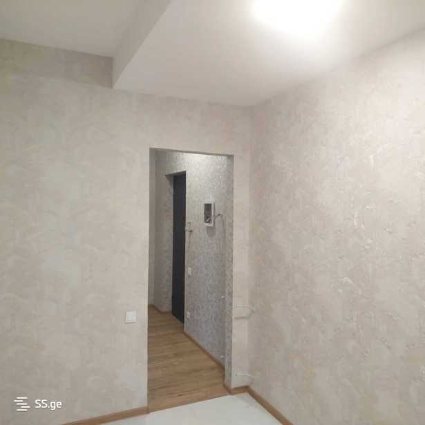 https://static.ss.ge/20251203/8_ee1b4156-e131-4711-9b0b-d431ffe42185_Thumb.jpg