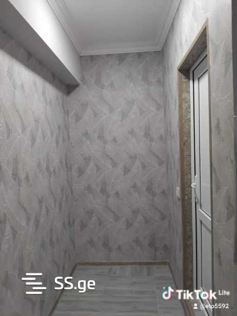 https://static.ss.ge/20251204/12_27934154-8ffa-4be2-aaee-83e60a011687_Thumb.jpg