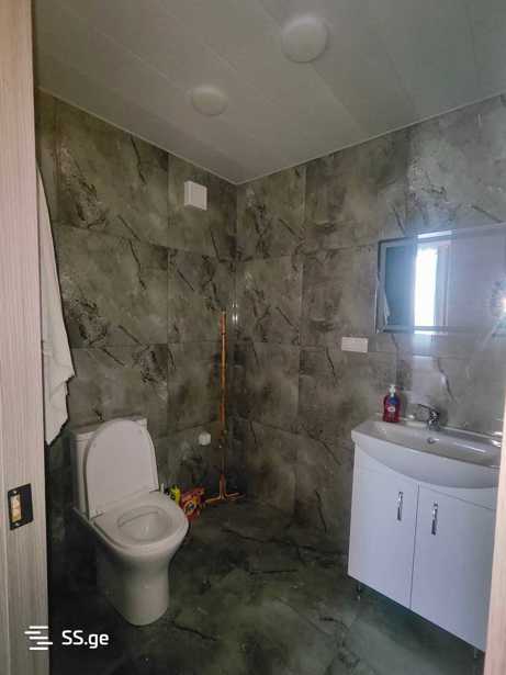 https://static.ss.ge/20251204/19_6a9cf08c-f5ce-409d-96ed-8cdb218d2e0d_Thumb.jpg