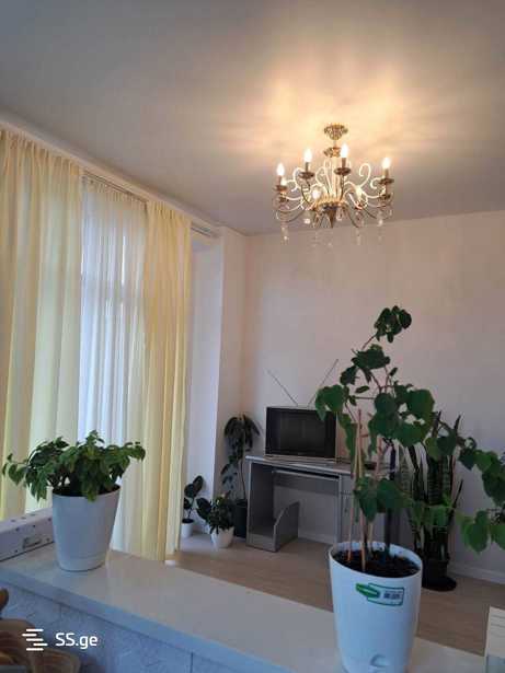 https://static.ss.ge/20251204/19_fcdaed44-985e-4cc5-b732-c1e0cf7a2de0_Thumb.jpg