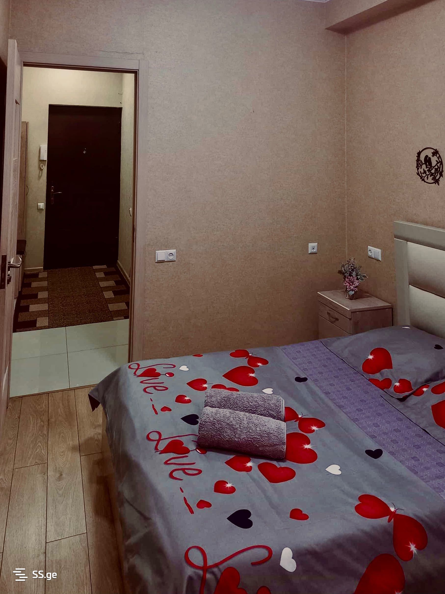 2 Room Flat Daily Rent. Gldani view 6