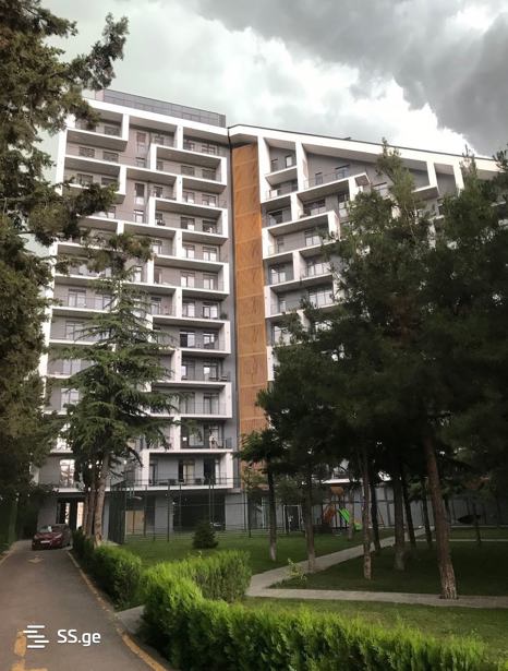 https://static.ss.ge/20251205/11_75ce3904-e1db-4e0c-b595-c453ea5765dc_Thumb.jpg