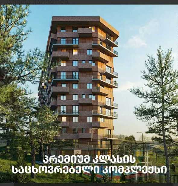 https://static.ss.ge/20251205/12_9a603147-3fe6-48d7-b08f-d71403f3ce66_Thumb.jpg