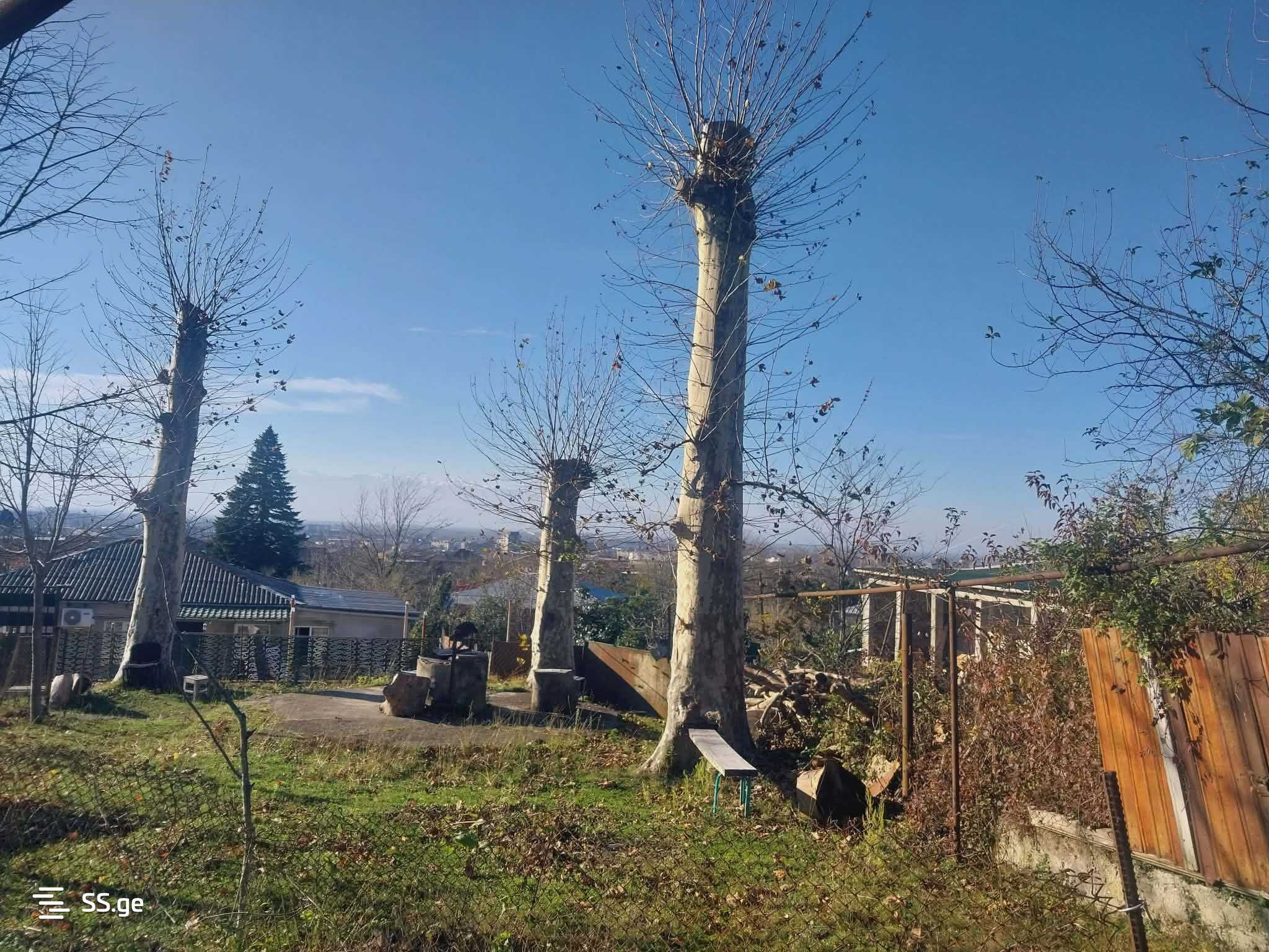 Land For Sale. Kutaisi view 5