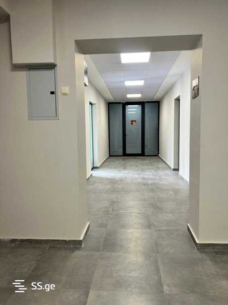 https://static.ss.ge/20251205/15_93862ff5-9184-4eda-9f0e-61256c67e17a_Thumb.jpg