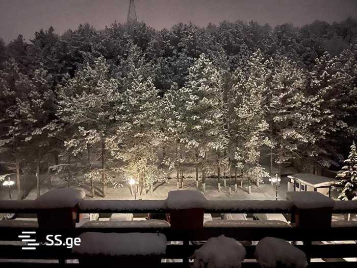 https://static.ss.ge/20251205/16_ffe5d8a3-1bfe-44d6-81d7-713951e9f79c_Thumb.jpg