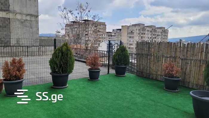 https://static.ss.ge/20251205/17_694aeb10-5a05-45c9-a8d7-47c9be55dea2_Thumb.jpg